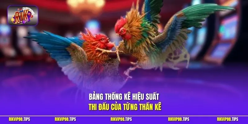Bảng thống kê hiệu suất thi đấu của từng thần kê
