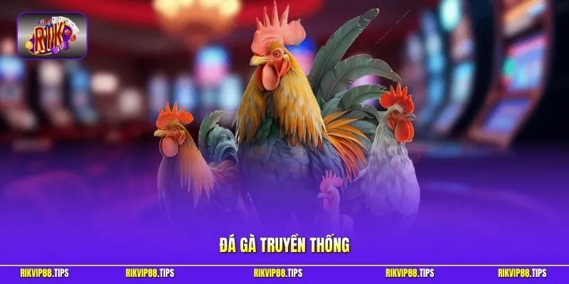 Đá gà truyền thống