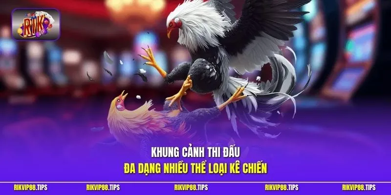 Khung cảnh thi đấu đa dạng nhiều thể loại kê chiến