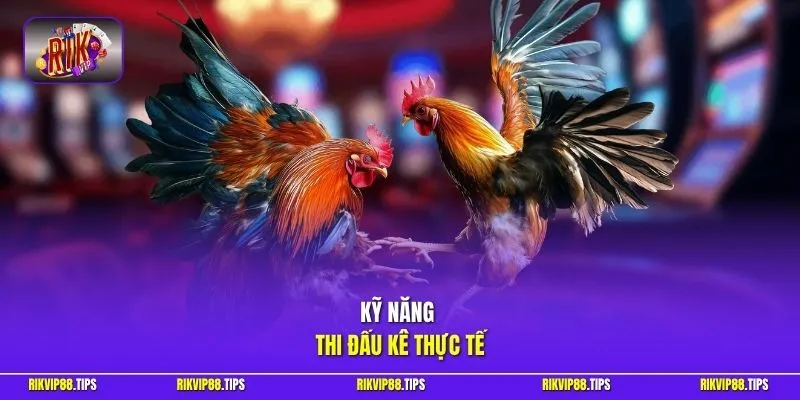 Kỹ năng thi đấu kê thực tế