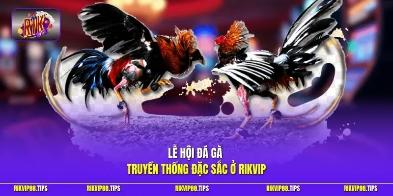 Lễ hội đá gà truyền thống đặc sắc ở Rikvip