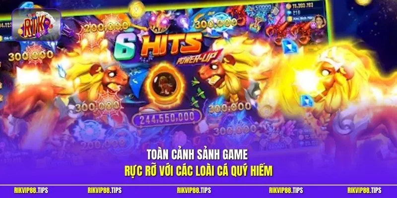 Toàn cảnh sảnh game rực rỡ với các loài cá quý hiếm