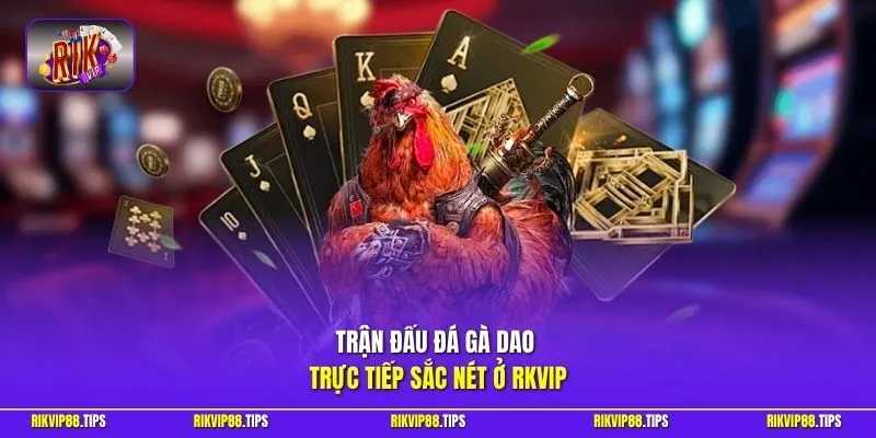 Trận đấu đá gà dao trực tiếp sắc nét ở Rikvip